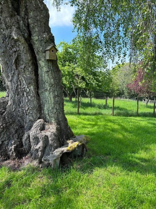 Beautiful 2 Bed Oast - 15 Acre Farm - Tunbridge Wells Vila Exterior foto